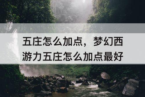 五庄怎么加点，梦幻西游力五庄怎么加点最好