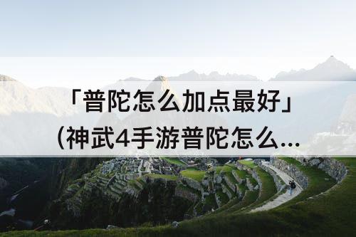 「普陀怎么加点最好」(神武4手游普陀怎么加点最好)