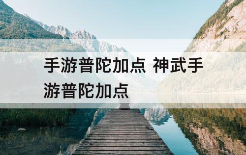 手游普陀加点 神武手游普陀加点