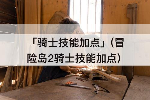「骑士技能加点」(冒险岛2骑士技能加点)