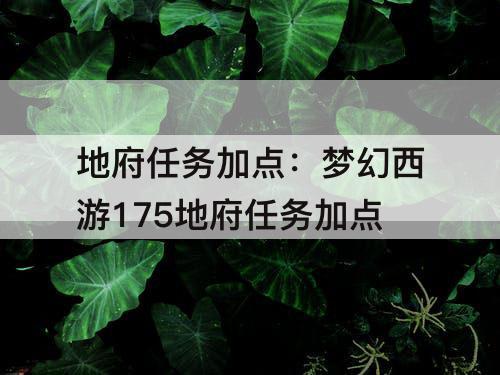 地府任务加点：梦幻西游175地府任务加点