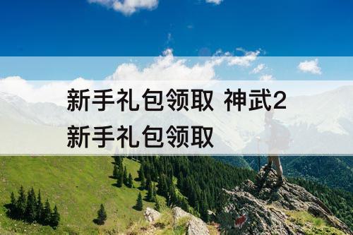新手礼包领取 神武2新手礼包领取
