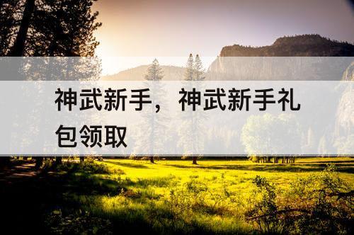 神武新手，神武新手礼包领取