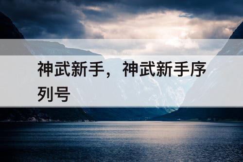 神武新手，神武新手序列号