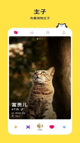 thinkpet最新版