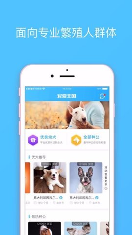 宠爱王国  v3.9.1图2