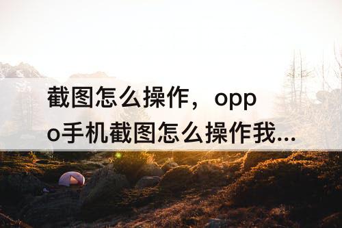 截图怎么操作，oppo手机截图怎么操作我看一下