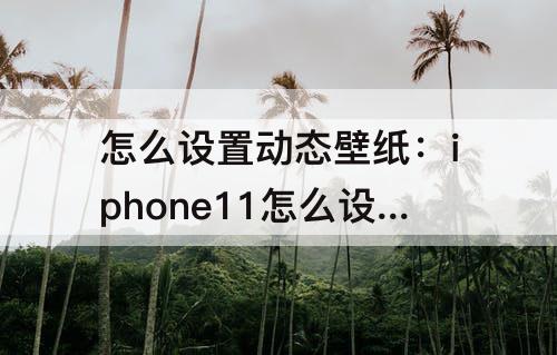 怎么设置动态壁纸：iphone11怎么设置动态壁纸不用按压的