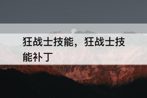 狂战士技能，狂战士技能补丁