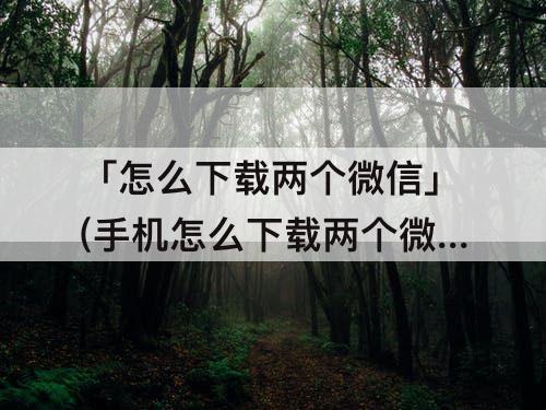 「怎么下载两个微信」(手机怎么下载两个微信)