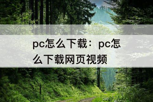 pc怎么下载：pc怎么下载网页视频