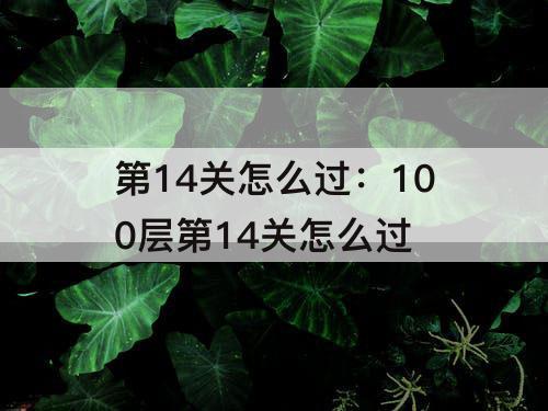第14关怎么过：100层第14关怎么过