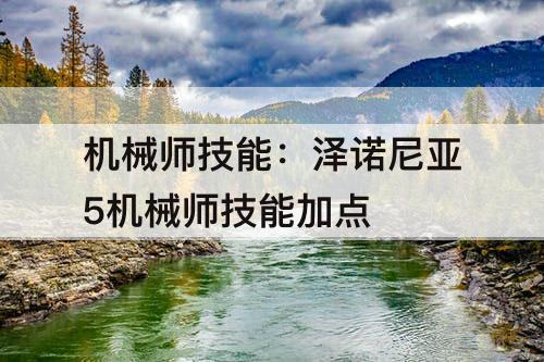 机械师技能：泽诺尼亚5机械师技能加点