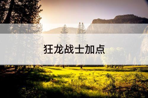 狂龙战士加点