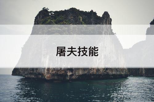 屠夫技能