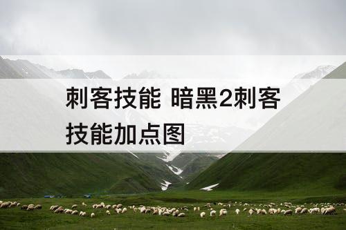 刺客技能 暗黑2刺客技能加点图