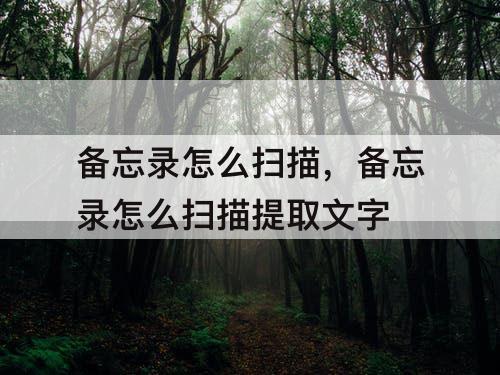 备忘录怎么扫描，备忘录怎么扫描提取文字