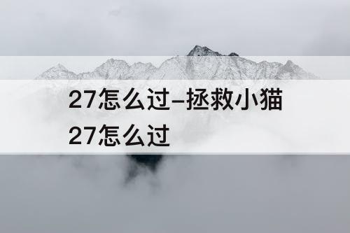 27怎么过-拯救小猫27怎么过