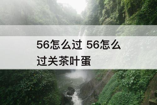 56怎么过 56怎么过关茶叶蛋