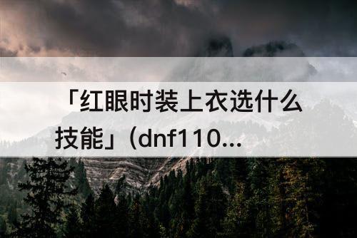 「红眼时装上衣选什么技能」(dnf110级红眼时装上衣选什么技能好看)