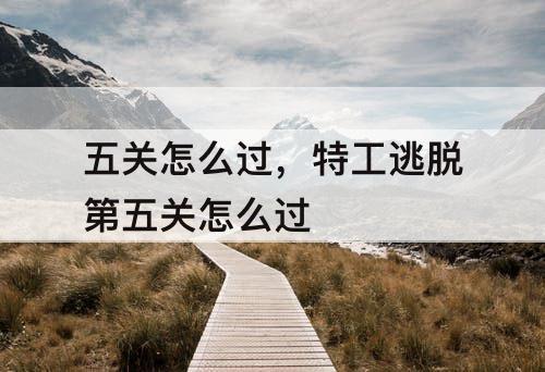 五关怎么过，特工逃脱第五关怎么过