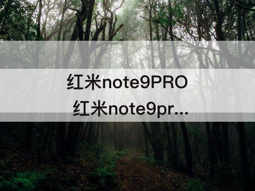 红米note9PRO 红米note9pro配置参数表