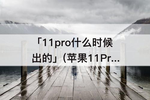 「11pro什么时候出的」(苹果11Pro什么时候出的)
