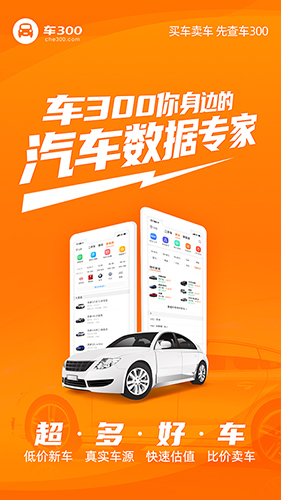 车300二手车  v5.2.4.02图1