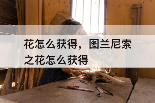 花怎么获得，图兰尼索之花怎么获得