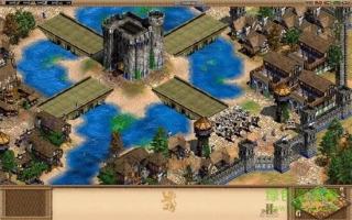 帝国时代2手机版下载  v1.12.7图2