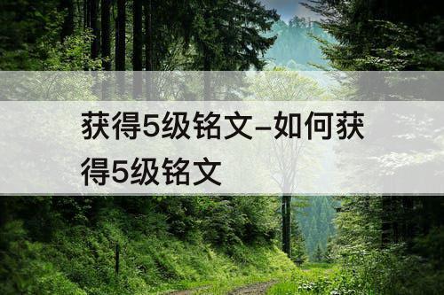 获得5级铭文-如何获得5级铭文