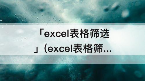 「excel表格筛选」(excel表格筛选重复项怎么筛选)