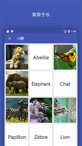 Quizlet安卓版