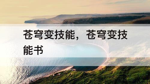 苍穹变技能，苍穹变技能书