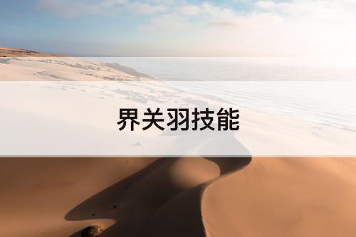 界关羽技能