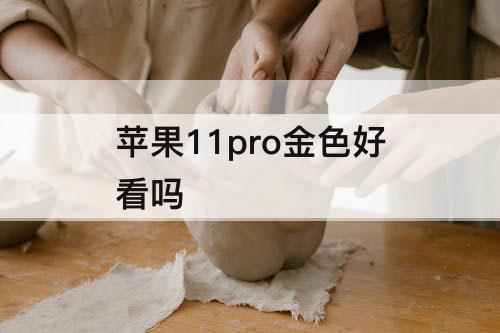 苹果11pro金色好看吗