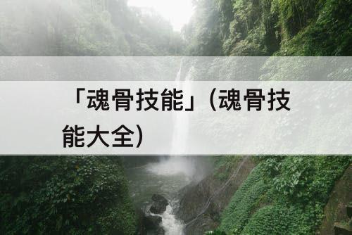 「魂骨技能」(魂骨技能大全)