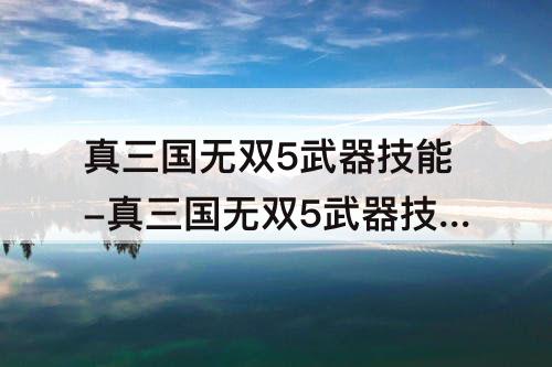 真三国无双5武器技能-真三国无双5武器技能效果