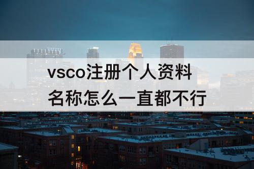 vsco注册个人资料名称怎么一直都不行