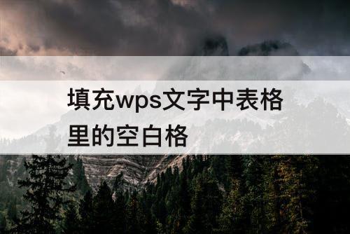 填充wps文字中表格里的空白格