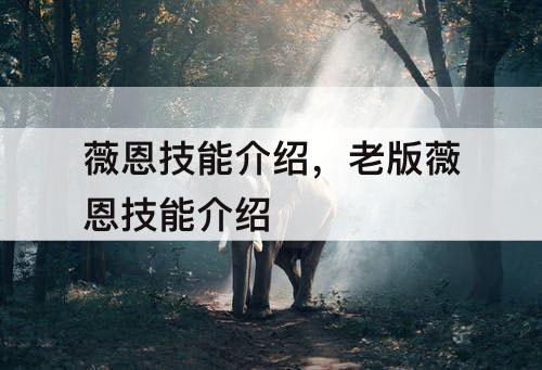 薇恩技能介绍，老版薇恩技能介绍
