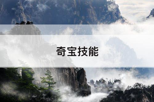 奇宝技能