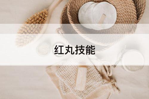 红丸技能