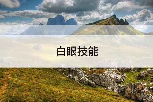 白眼技能