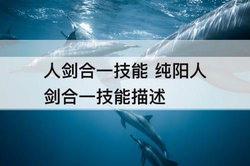 人剑合一技能 纯阳人剑合一技能描述