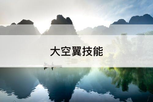 大空翼技能
