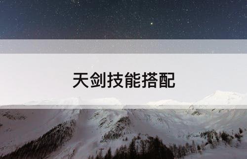 天剑技能搭配