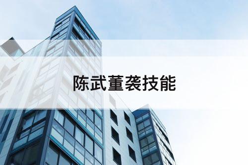 陈武董袭技能