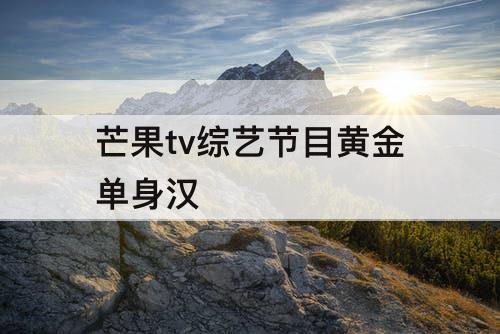 芒果tv综艺节目黄金单身汉
