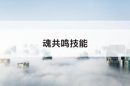 魂共鸣技能